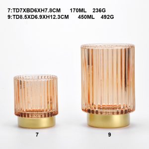 S20-0387-8,12-HDG